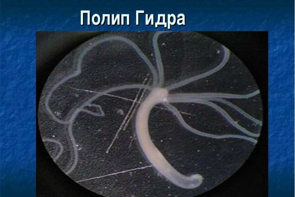 Кракен сайт пользователь не найден