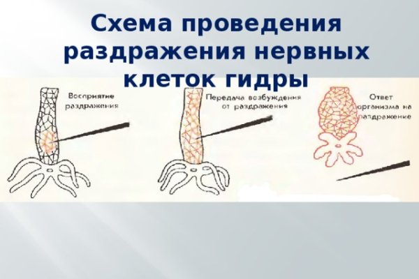 Ссылка на кракен маркет