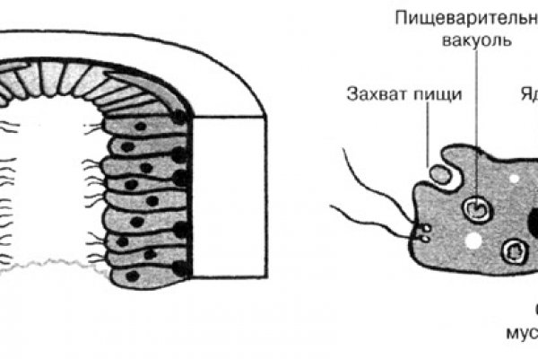Кракен тор