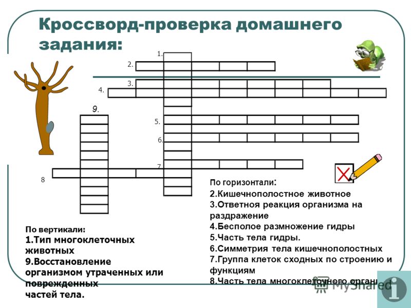 Где найти рабочую ссылку кракен