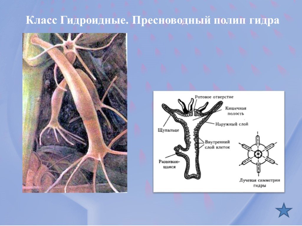 Кракен ссылка зайти